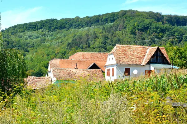 Typiskt Landsbygdslandskap Och Bonde Hus Byn Alma Vii Almen Transylvania — Stockfoto
