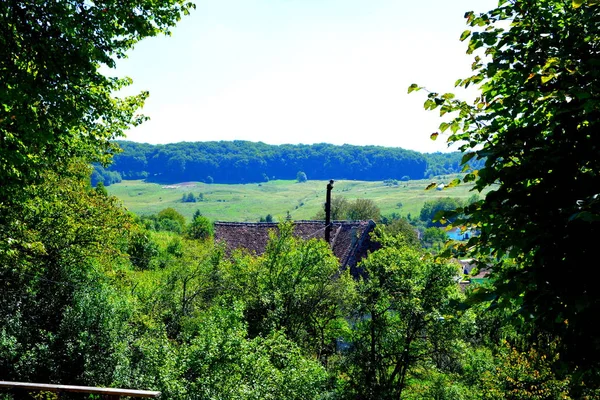 Typická Venkovská Krajina Rolnické Domy Vesnici Alma Vii Almen Rumunsko — Stock fotografie