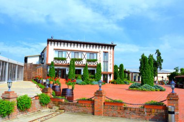 Recas, Timisoara, Romanya 'dan ünlü üzüm bağları