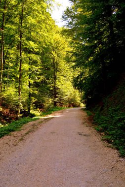 Romanya 'nın başkenti Transilvanya' da yer alan Brasov 'a 12 km mesafedeki kışa ve spa istasyonuna giden yol, ülkenin merkezinde yer alan Brasov kasabasına 12 km uzaklıkta.. 