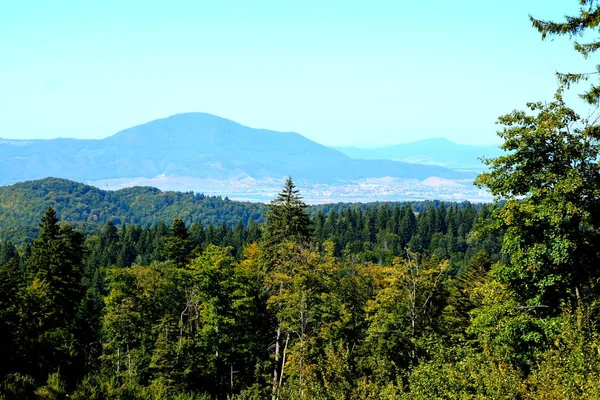 Cesta Zimní Lázeňské Stanice Poiana Brasov Brasov Město Nachází Transylvánii — Stock fotografie