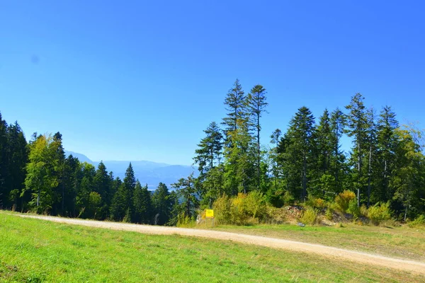 Estrada Para Inverno Estação Spa Poiana Brasov Brasov Uma Cidade — Fotografia de Stock