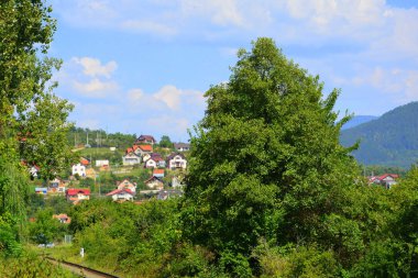 Romanya 'nın Transilvanya ormanlarındaki tipik manzara. Sonbaharda yeşil manzara, güneşli bir günde