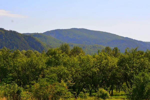 Paisagem Típica Nas Florestas Transilvânia Roménia Paisagem Verde Outono Dia — Fotografia de Stock