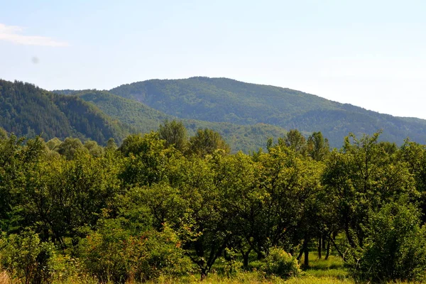 Typisch Landschap Bossen Van Transsylvanië Roemenië Groen Landschap Herfst Een — Stockfoto