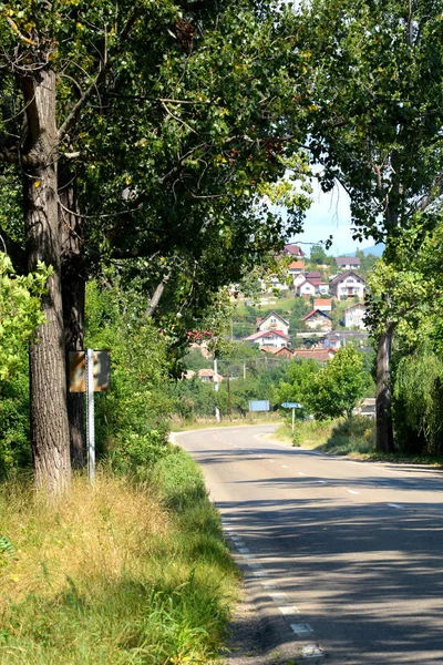 Typiskt Landskap Skogarna Transsylvanien Rumänien Grönt Landskap Midsommar Solig Dag — Stockfoto
