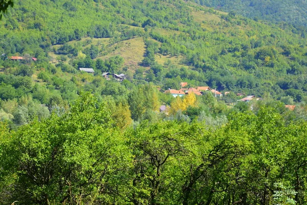 Typická Krajina Lesích Transylvánie Rumunsko Zelená Krajina Uprostřed Léta Slunečného — Stock fotografie