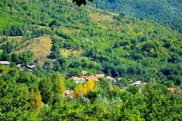 Paesaggio Tipico Nelle Foreste Della Transilvania Romania Paesaggio Verde Piena — Foto Stock