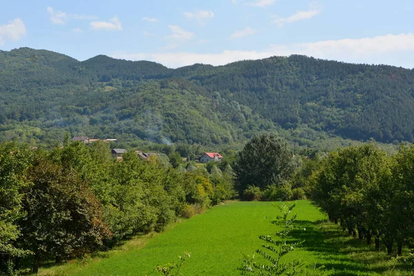 Typical landscape in the forests of Transylvania, Romania. Green landscape in the autumn, in a sunny day