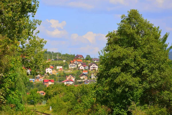 Typical landscape in the forests of Transylvania, Romania. Green landscape in the autumn, in a sunny day