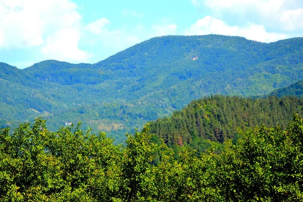 Typical landscape in the forests of Transylvania, Romania. Green landscape in the autumn, in a sunny day