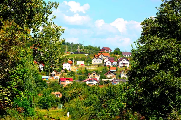 Типовий Пейзаж Лісах Трансільванії Румунія Зелений Краєвид Осені Сонячний День — стокове фото