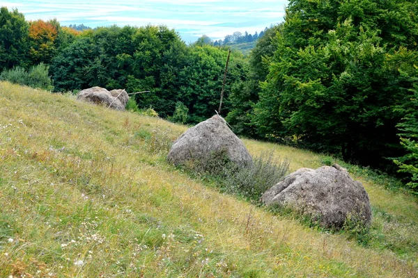 Området Predeal Transsylvanien Rumänien Typiskt Landsbygdslandskap Slätterna Transsylvanien Rumänien Grönt — Stockfoto