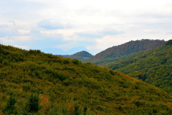 通往中世纪要塞Cetatea Neagra的道路 位于罗马尼亚特兰西瓦尼亚的Codlea 美丽的秋天风景 森林绿景 — 图库照片