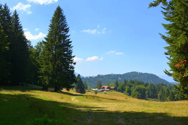 Straße Zur Mittelalterlichen Festung Cetatea Neagra Kabeljau Transsilvanien Rumänien Schöne — Stockfoto