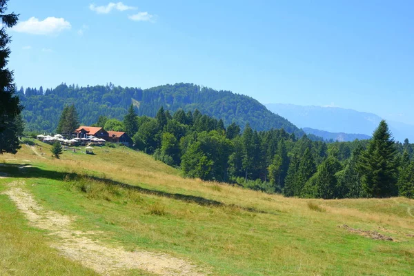 Romanya 'nın Transilvanya, Codlea kentindeki Cetatea Neagra ortaçağ kalesine giden yol. Güzel sonbahar manzarası. Ormanın yeşil manzarası.
