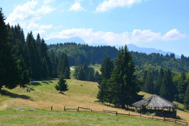 Predeal, Transilvanya, Romanya bölgesi. Romanya 'nın Transilvanya ovalarındaki tipik kırsal alan. Sonbaharda yeşil manzara, güneşli bir günde