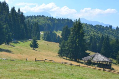 Predeal, Transilvanya, Romanya bölgesi. Romanya 'nın Transilvanya ovalarındaki tipik kırsal alan. Sonbaharda yeşil manzara, güneşli bir günde