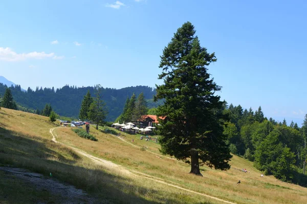 Area Town Predeal Transylvania Romania Typical Rural Landscape Plains Transylvania — Stock Photo, Image
