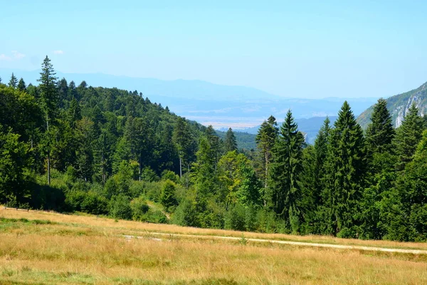 Zone Ville Predeal Transylvanie Roumanie Paysage Rural Typique Dans Les — Photo