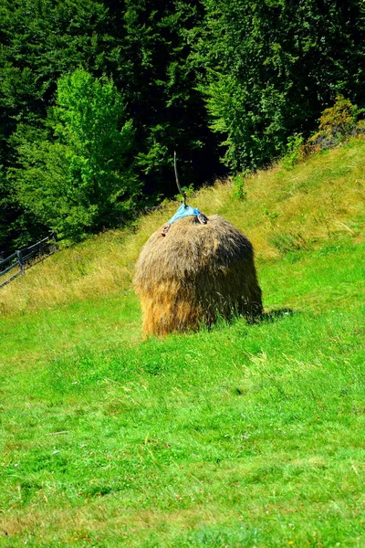 Area of the town Predeal, transylvania, Romania. Typical rural landscape in the plains of Transylvania, Romania. Green landscape in autumn, in a sunny day