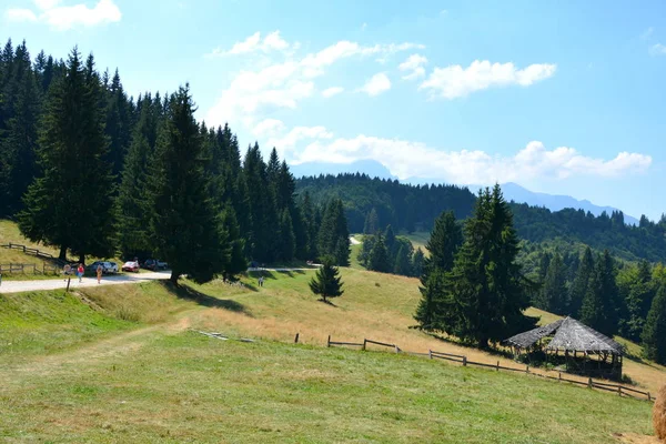 Gebiet Der Stadt Predeal Siebenbürgen Rumänien Typische Ländliche Landschaft Der — Stockfoto