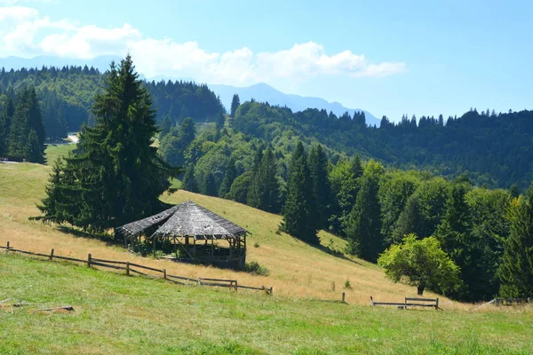 Gebiet Der Stadt Predeal Siebenbürgen Rumänien Typische Ländliche Landschaft Der — Stockfoto