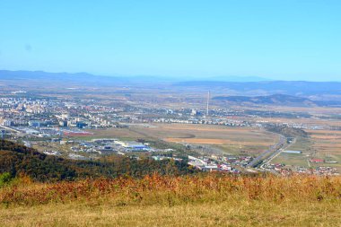 Romanya 'nın Transilvanya ormanlarındaki tipik manzara. Yazın ortasında, güneşli bir günde yeşil bir manzara.