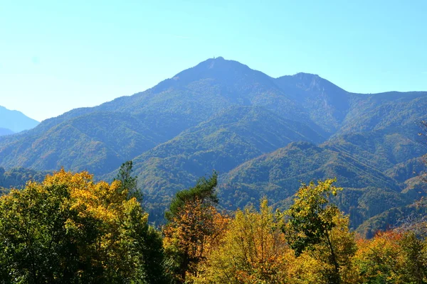 Paisaje Típico Los Bosques Transilvania Rumania Paisaje Verde Pleno Verano —  Fotos de Stock