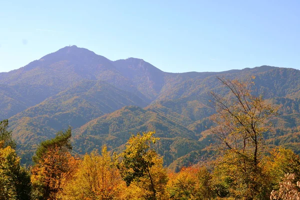 Typisch Landschap Bossen Van Transsylvanië Roemenië Groene Landschap Het Midden — Stockfoto