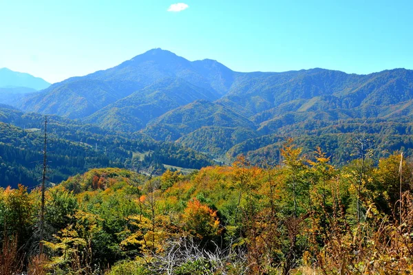 Typisch Landschap Bossen Van Transsylvanië Roemenië Groene Landschap Het Midden — Stockfoto