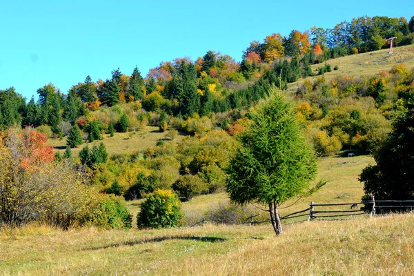 Paesaggio Tipico Nelle Foreste Della Transilvania Romania Paesaggio Verde Piena — Foto Stock