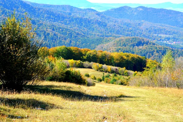 Typical landscape in the forests of Transylvania, Romania. Green landscape in the midsummer, in a sunny day