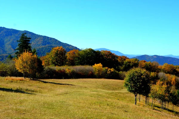 Типовий Пейзаж Лісах Трансільванії Румунія Зелений Пейзаж Середині Літа Сонячний — стокове фото