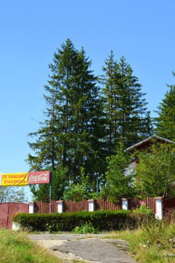 Allah 'a emanet ol. Romanya 'nın Transilvanya ormanlarındaki tipik manzara. Yazın ortasında, güneşli bir günde yeşil bir manzara.