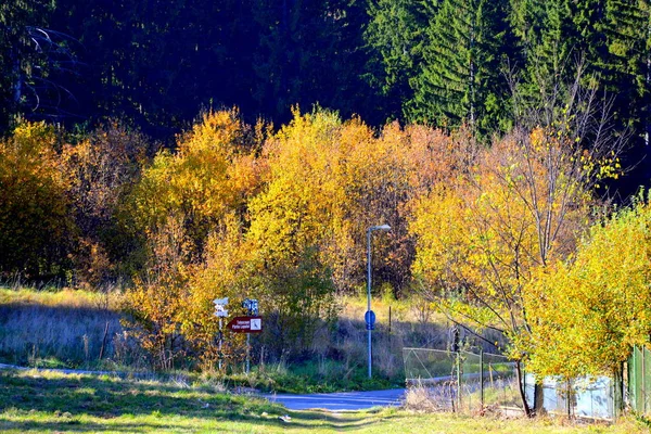 Poiana Brasov Typická Krajina Lesích Transylvánie Rumunsko Zelená Krajina Uprostřed — Stock fotografie