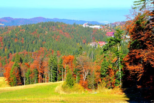 Poiana Brasov Typische Landschaft Den Wäldern Von Transsilvanien Rumänien Grüne — Stockfoto