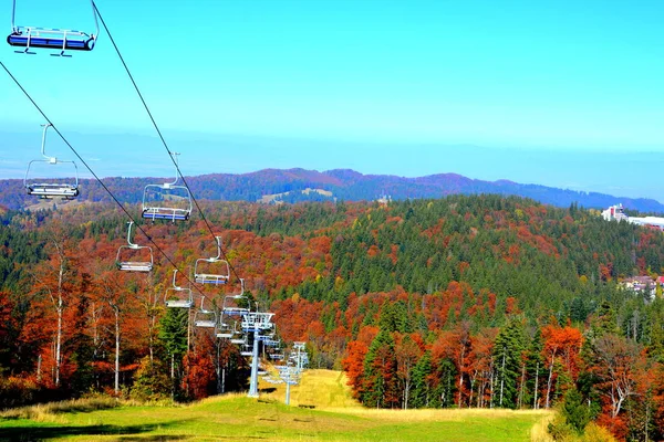 Poiana Brasov Paysage Typique Dans Les Forêts Transylvanie Roumanie Paysage — Photo