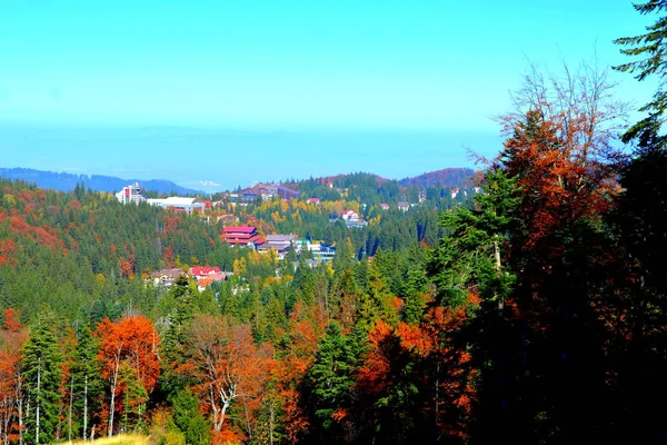 Poiana Brasov Paysage Typique Dans Les Forêts Transylvanie Roumanie Paysage — Photo