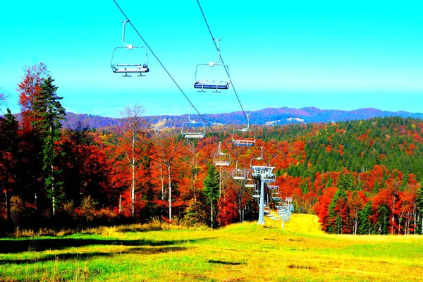 Poiana Brasov Paisaje Típico Los Bosques Transilvania Rumania Paisaje Verde — Foto de Stock