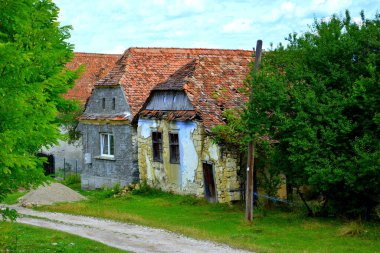 Romanya 'nın Transilvanya kentindeki bir Sakson köyü olan Drauseni' deki tipik kırsal alan ve köylü evleri.