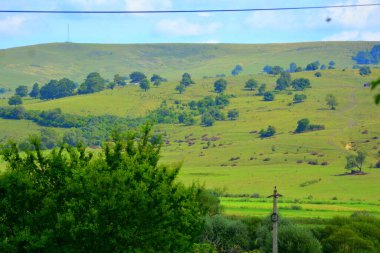 Romanya 'nın Transilvanya kentindeki bir Sakson köyü olan Drauseni' deki tipik kırsal alan ve köylü evleri.