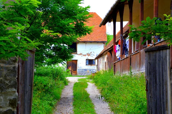 ドラウセニ サクソン村 トランシルヴァニア ルーマニアの典型的な農村風景と農家 — ストック写真