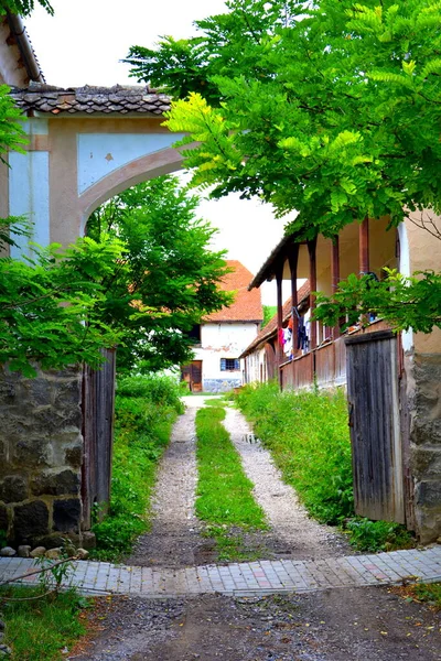 Paisaje Rural Típico Casas Campesinas Drauseni Pueblo Saxon Transilvania Rumania —  Fotos de Stock