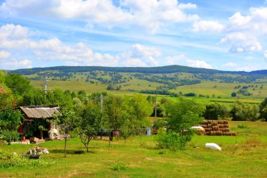 Romanya 'nın Transilvanya kentindeki Sibiu County' nin Sakson köyü Drausenit 'teki tipik kırsal alan ve köylü evleri.