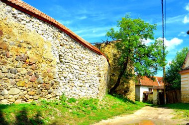 Romanya 'nın Transilvanya kentindeki Sibiu County' nin Sakson köyü Drausenit 'teki tipik kırsal alan ve köylü evleri.