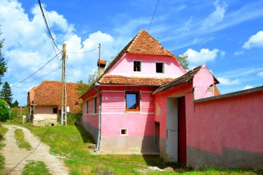 Romanya 'nın Transilvanya kentindeki Sibiu County' nin Sakson köyü Drausenit 'teki tipik kırsal alan ve köylü evleri.