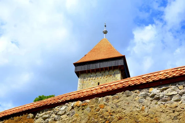 Romanya 'nın Transilvanya kentindeki Sibiu County' nin Sakson köyü Drausenit 'teki tipik kırsal alan ve köylü evleri.