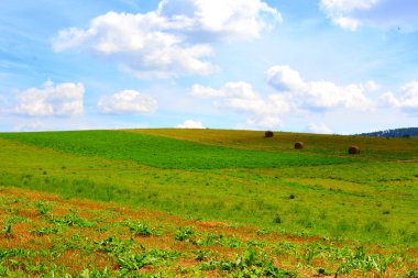 Beia, Transilvanya, Romanya 'daki tipik kırsal alan ve köylü evleri. Yerleşim yeri Sakson koloniciler tarafından 12. yüzyılın ortalarında kuruldu.