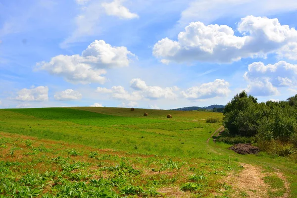 Типичный Сельский Пейзаж Крестьянские Дома Бея Трансильвания Румыния Поселение Основано — стоковое фото